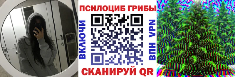 blacksprut   площадка телеграм  Галлюциногенные грибы ЛСД  Волгодонск 